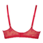 Rosa Faia Abby Beugel BH Cherry