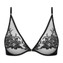 Lise Charmel Adorable And Sexy Triangle BH Noir