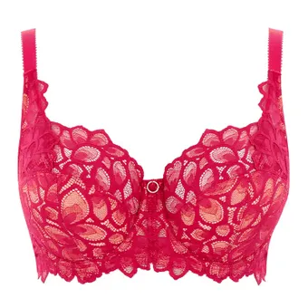 Allure Full Cup BH