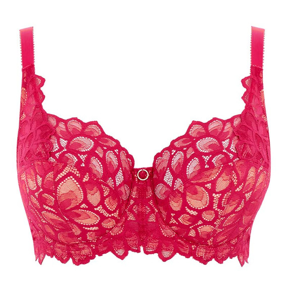 Panache Allure Full Cup BH Raspberry