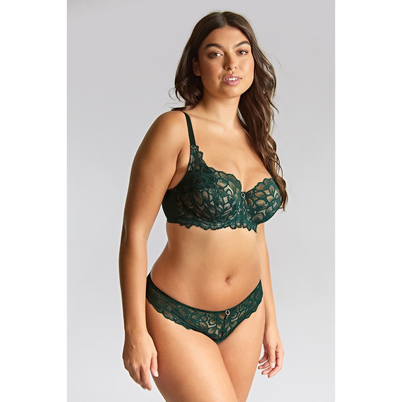 Panache Allure Full Cup BH Forest Green