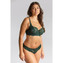 Panache Allure Full Cup BH Forest Green
