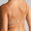 Panache Allure Full Cup BH Honey