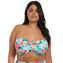 Elomi Swim Aloha Bandeau Bikinitop Aqua