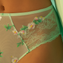 Lise Charmel Amour Nymphea Tailleslip Jade Aqua