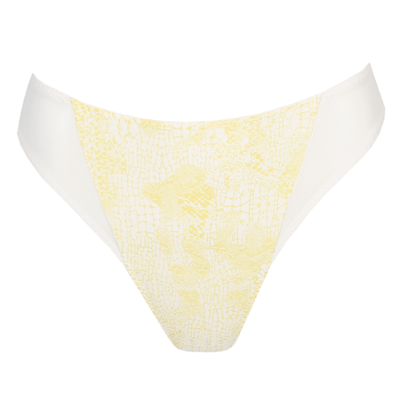 Anaconda String