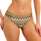 Arizona Wave Bikini Hose