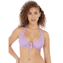 Freya Swim Beach Hut Halter Bikinitop Cassis