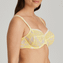 PrimaDonna Twist Wild Rose Beugel BH Limoncello