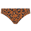 Freya Swim Roar Instinct Bikinibroekje Leopard