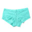 Hanky Panky Boyshort Sea You Later