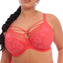 Elomi Lingerie Brianne Plunge BH Cayenne