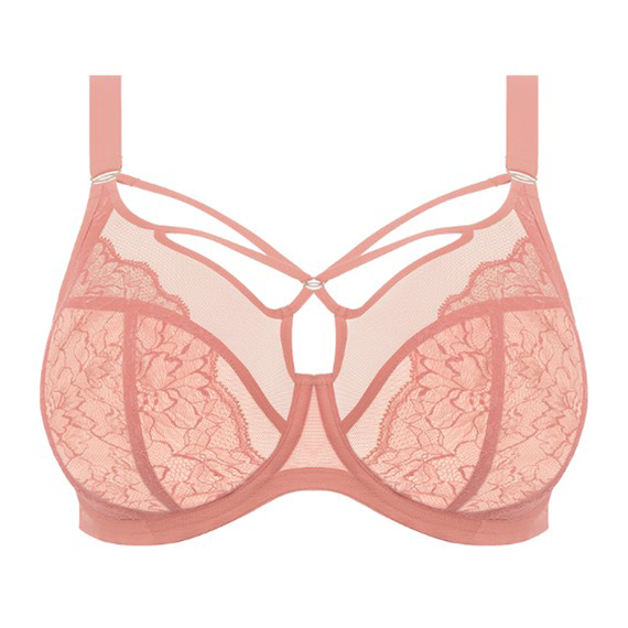 Brianna Plunge BH