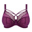 Elomi Brianna Plunge BH Blackberry