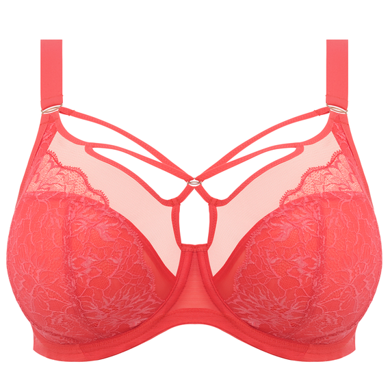 Brianna Plunge BH