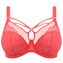 Elomi Lingerie Brianne Plunge BH Cayenne