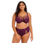 Elomi Brianna Plunge BH Blackberry