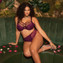 Elomi Brianna Plunge BH Blackberry