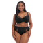 Elomi Brianna Tailleslip Black