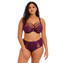 Elomi Brianna Tailleslip Blackberry