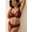 Primadonna Springdale Plunge BH Black Rose