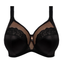 Elomi Lingerie Cate Allure Beugel BH Black