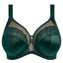 Elomi Cate Allure Beugel BH Deep Emerald
