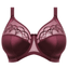 Elomi Cate Beugel BH Cabernet