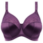 Elomi Cate Beugel BH Plum