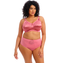 Elomi Cate Beugelloze BH Desert Rose