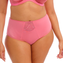 Elomi Cate Hoge Slip Desert Rose