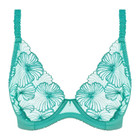Cateline Plunge BH