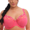 Elomi Charley Plunge BH Honeysuckle