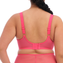 Elomi Charley Plunge BH Honeysuckle