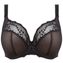 Elomi Charley Plunge BH Black 