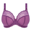 Elomi Charley Plunge BH Pansy