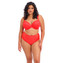 Elomi Charley Plunge BH Salsa
