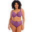 Elomi Charley Plunge BH Pansy