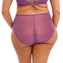 Elomi Charley Tailleslip Pansy