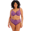 Elomi Charley Tailleslip Pansy