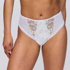 Chen Tailleslip