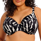 Echo Shell Plunge Bikinitop