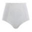 Panache Envy Hohe Taillenslip Ivory