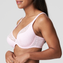 PrimaDonna Twist Epirus Plunge BH