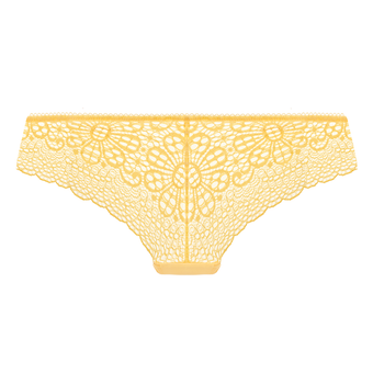 Erin Brazilian Slip