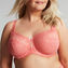Sculptresse Estel Full Cup BH Coral