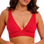 Wacoal Halo Lace Bralette Equestrian Red