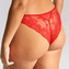 Panache Heidi Slip Ruby Red