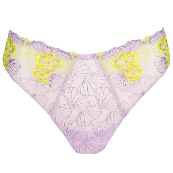 Primadonna Ixia String Wisteria