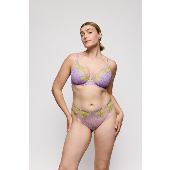 Primadonna Ixia String Wisteria